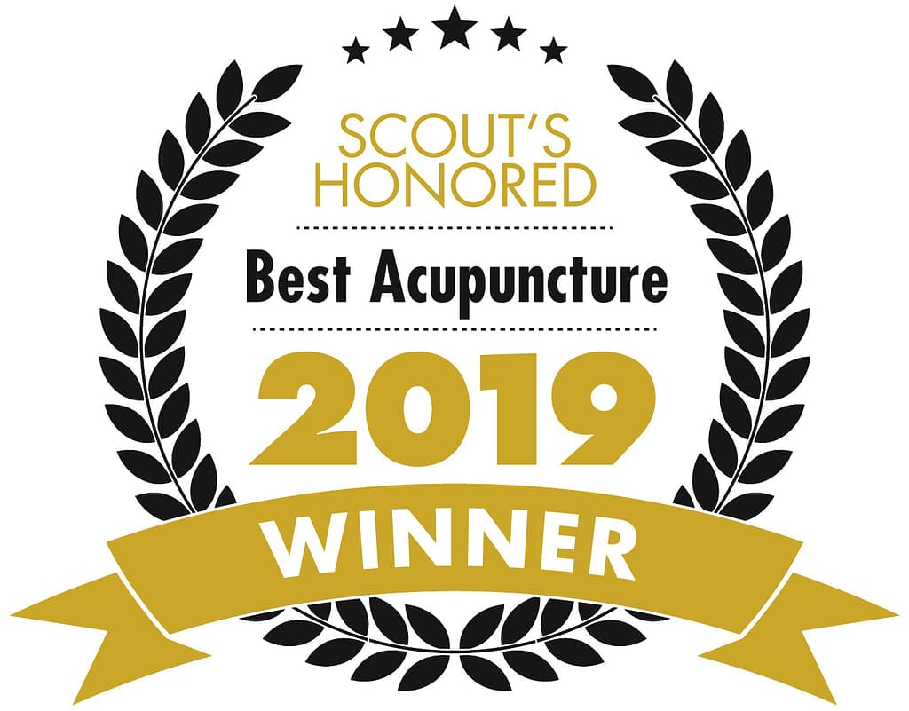 2019 Winner Scout Somerville